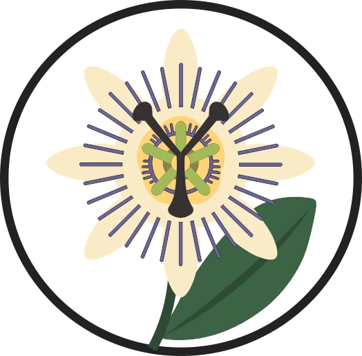 Logo Harmonia Dotyku Biłgoraj Logo Harmonia Dotyku Biłgoraj